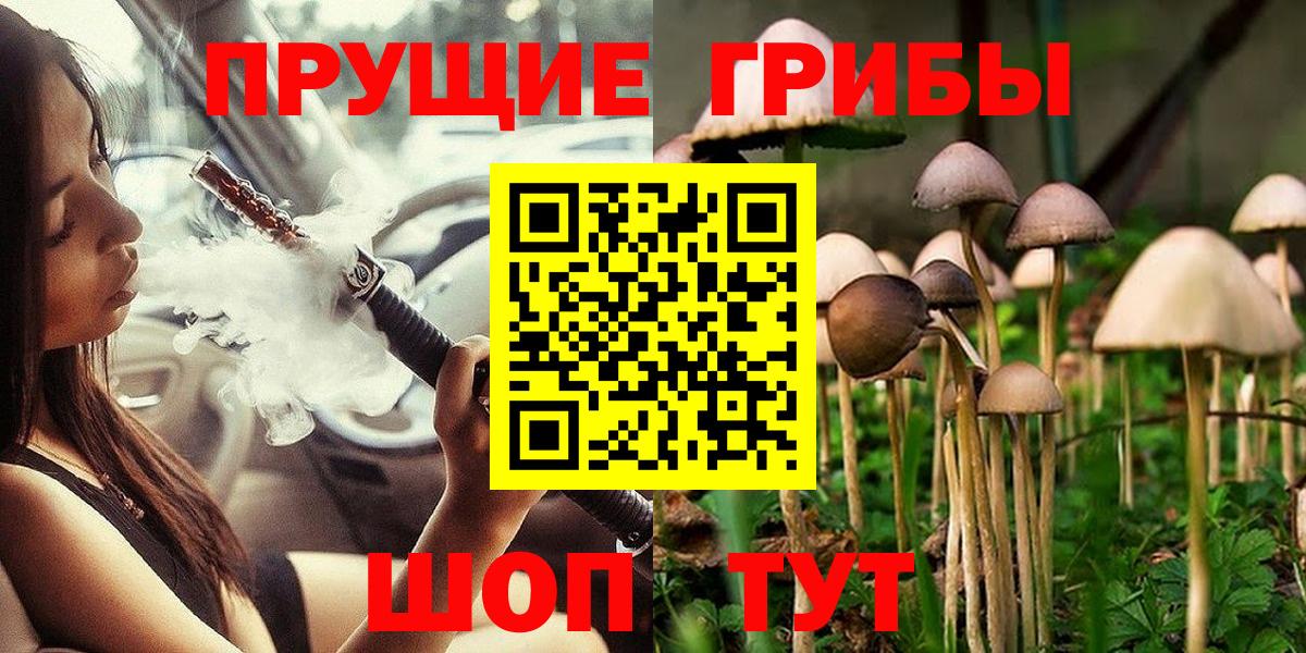 Псилоцибиновые грибы Cubensis Химки
