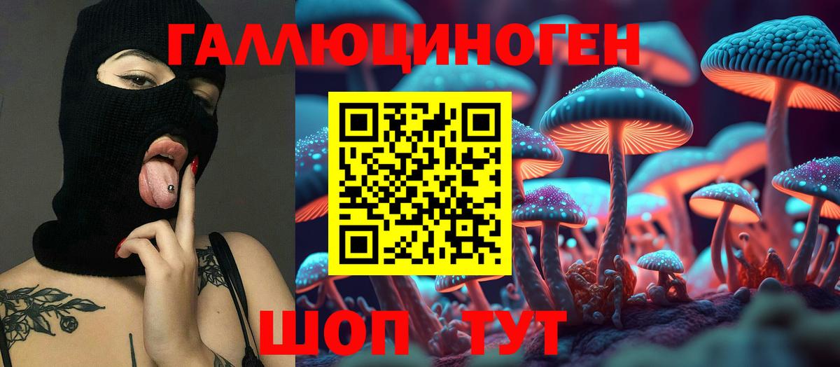 Химки  Галлюциногенные грибы Cubensis  Вход с VPN 